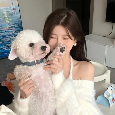 冰上迪斯科